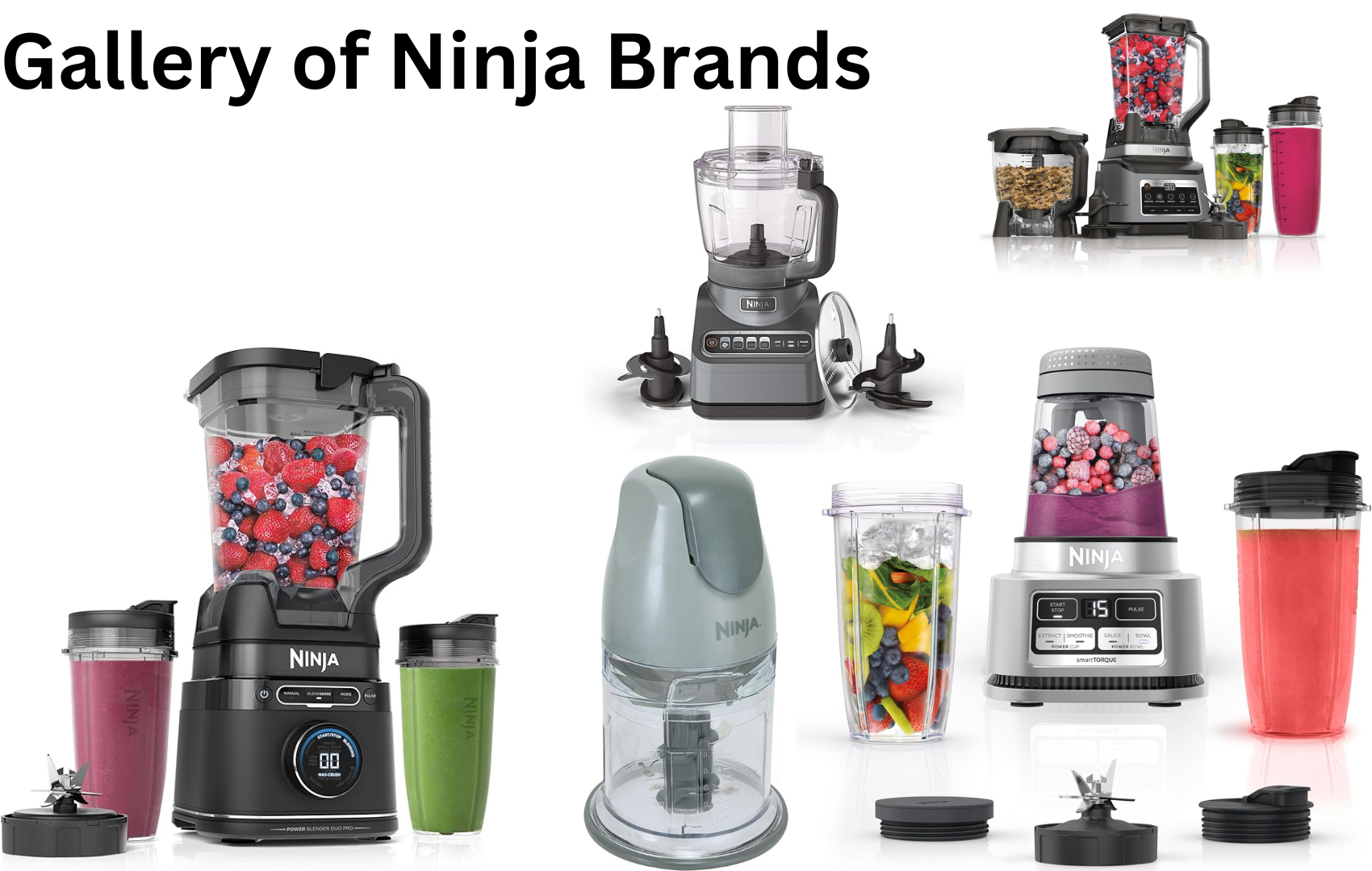 Ninja Food Processor Attachment