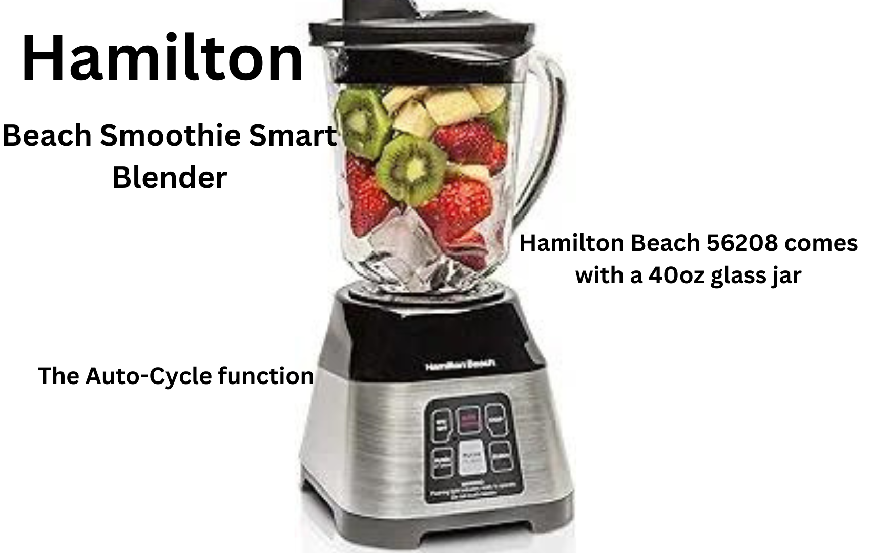 Hamilton Beach Smoothie Smart Blender (56208) with 5 Functions, Auto-Cycle, and Elegant Stainless Steel Design"